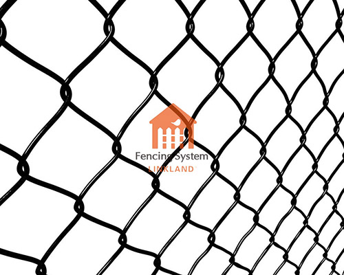 Chain link fence